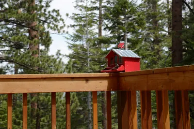 DSC_2933 (Large).JPG